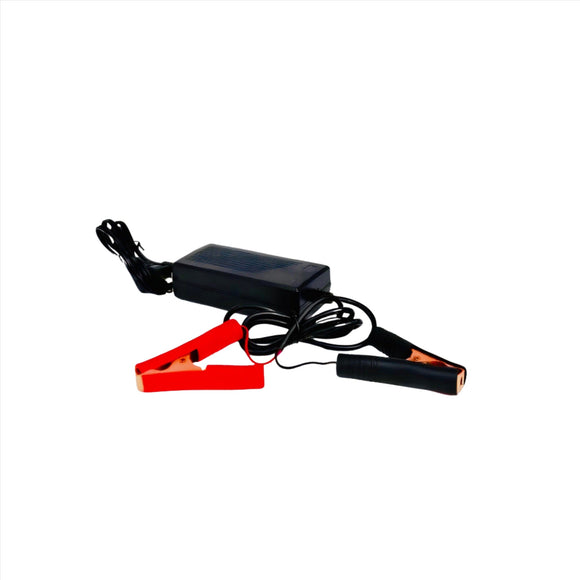 24V 6A Battery Charger (29.2)