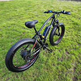 350w Electric Bike, Adult - 0