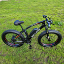 Mach 1 350W adult electric bike with 4-inch fat tires and 48V lithium battery