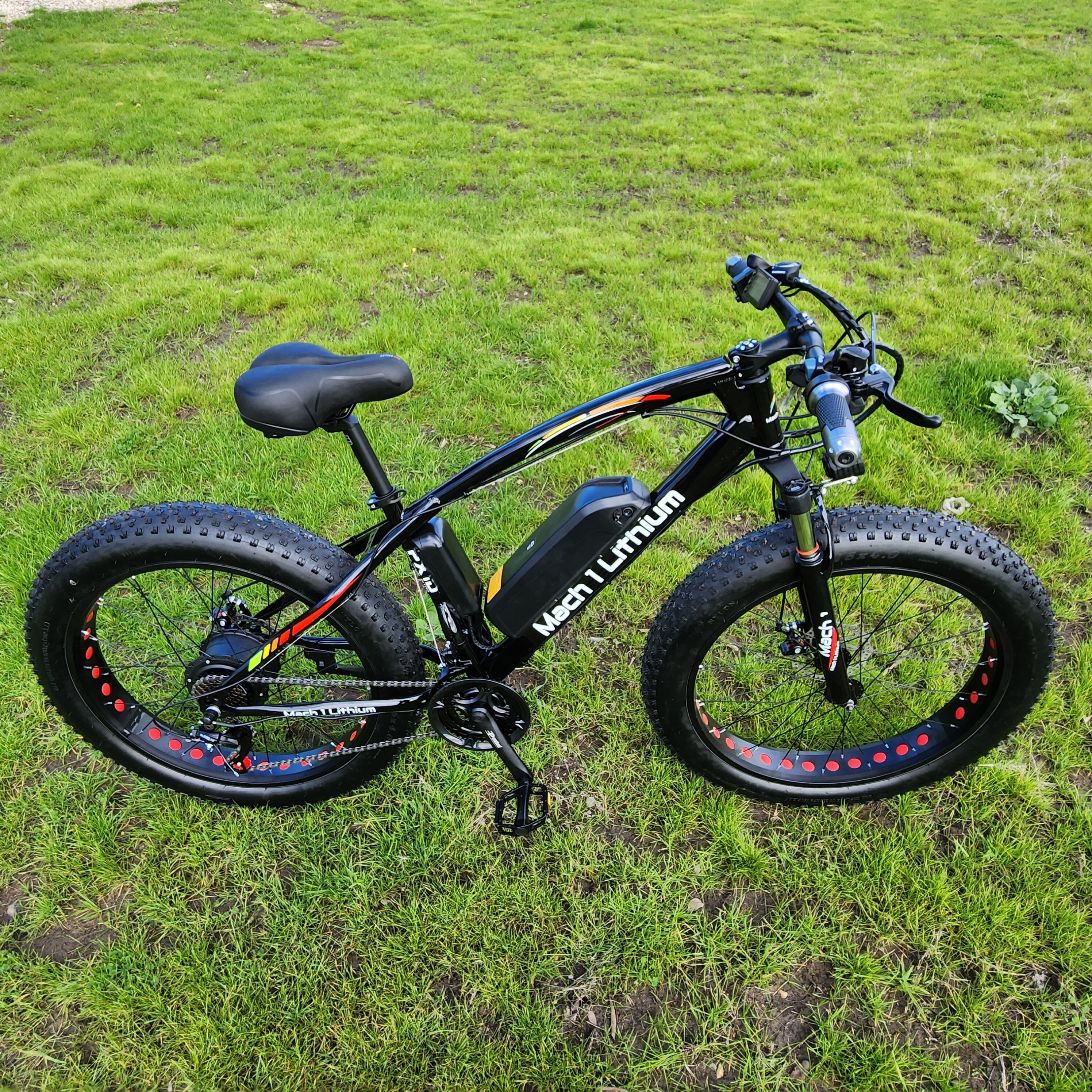 350W Electric Bike | Adult Fat Tire eBike