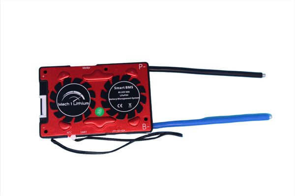 Smart LiFePO4 24V 8S 60A Battery Management System with Balancing Leads and Bluetooth Dongle